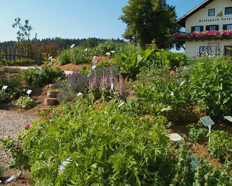 Hildegard Naturhaus Kirchberg bei Mattighofen Экстерьер фото